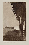 ALBERI, STRADA E CASE